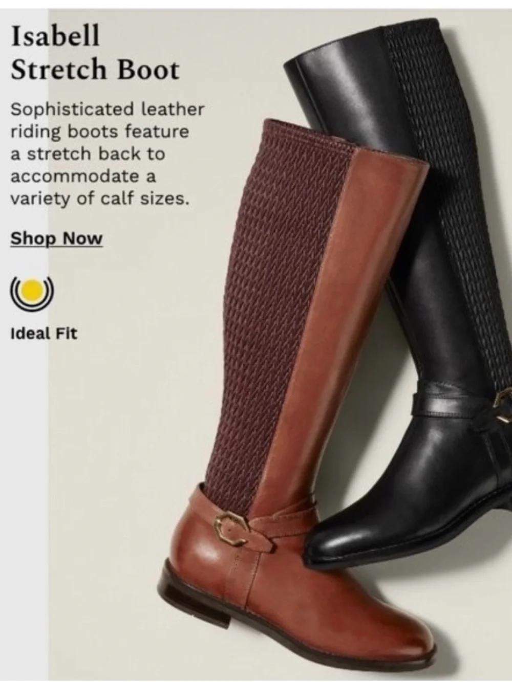 Cole Haan Isabell Grand Stretch Brown Leather Knee High Riding Boots NWOB